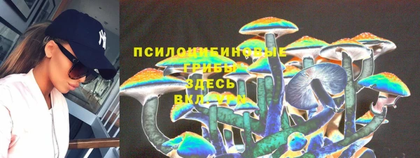 не бодяженный Магас