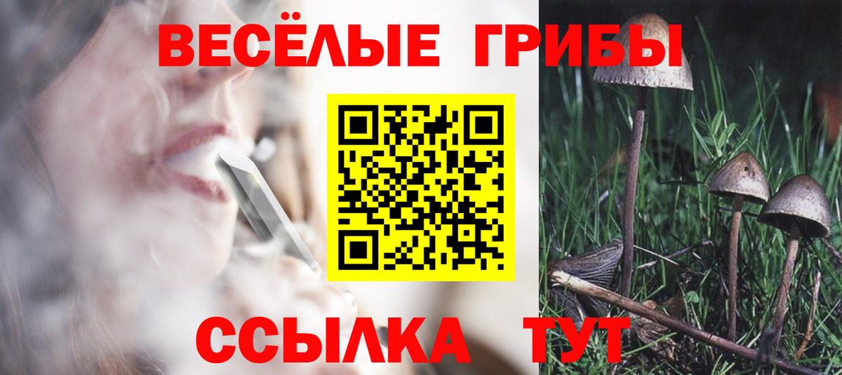 Псилоцибиновые грибы Cubensis Ханты-Мансийск